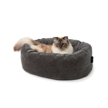 Langhaarige blauäugige Katze, die in einem runden grauen Cord-Katzenbett liegt, mit kleinem schwarzem Etikett mit weißer Aufschrift.