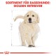 Illustration eines Golden Retriever Welpen mit einem flauschigen Fell, begleitet von dem Text 'SORTIMENT FÜR RASSEHUNDE: GOLDEN RETRIEVER.'