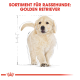 Illustration eines Golden Retriever Welpen mit einem flauschigen Fell, begleitet von dem Text 'SORTIMENT FÜR RASSEHUNDE: GOLDEN RETRIEVER.'