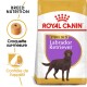 Sac de nourriture pour chien Royal Canin Sterilised Labrador Retriever avec une illustration de Labrador marron, mettant l'accent sur la nutrition spécifique à la race et le contrôle de l'appétit.