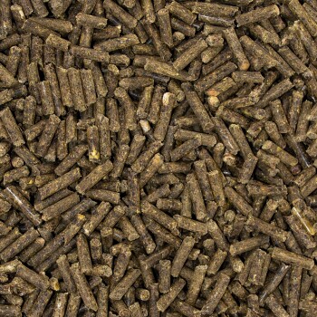 Nahaufnahme von dunkelbraunen Hundefutterpellets, die kleinen Stäbchen ähneln, die über eine Oberfläche verstreut sind.