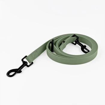 Umhängeleine aus Biothane Early Green