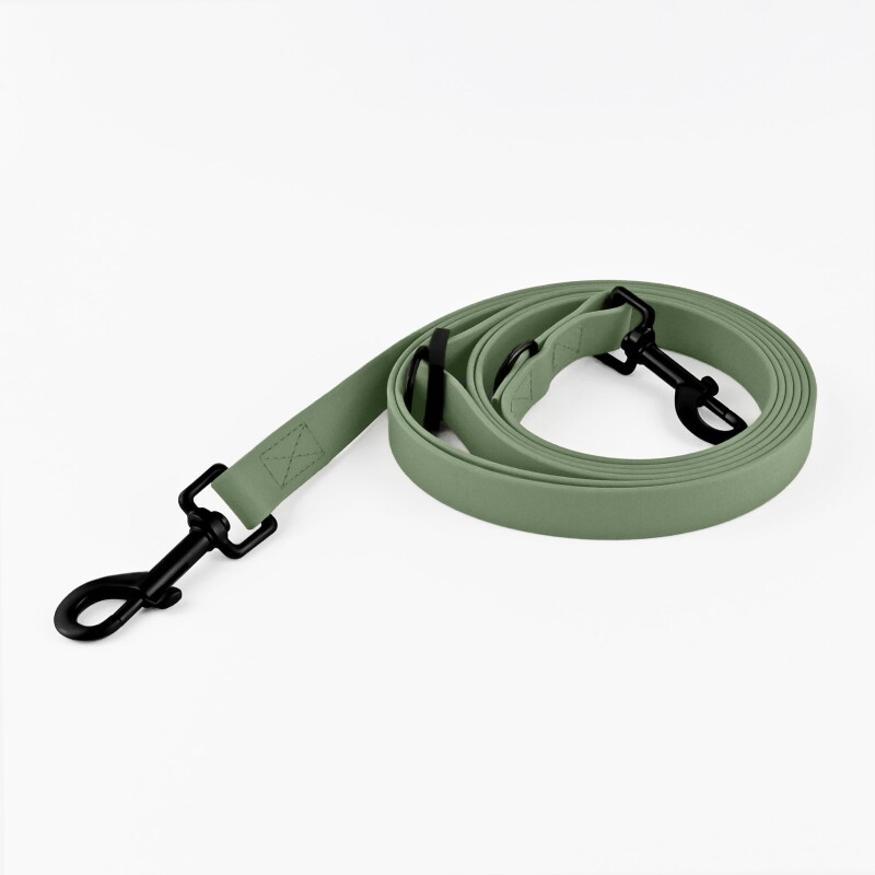 THE DOG IDEA Umhängeleine aus Biothane Early Green M