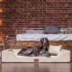 ® Orthopädisches LUXUS-Hundebett MELODY LATEX Soft Kunstleder Velours beige 1,5 m, 22 cm, 1 m