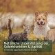 Eine Katze und ein Hund auf einer grasbewachsenen Fläche mit dem Text: "Unterstützen Sie die Gelenkfunktion & Agilität auf natürliche Weise."