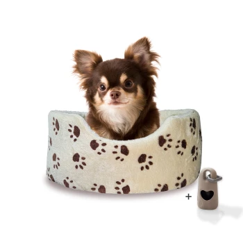 ® Hundebett Silvio, mit Gratis-Kotbeutelset, S Ein süßer brauner Chihuahua sitzt bequem in einem hellgrünen Haustierbett mit braunen Pfotenabdrücken, begleitet von einem kleinen beigen Accessoire.