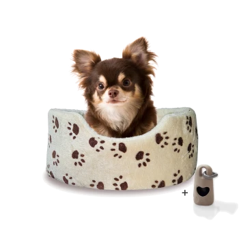 Ein süßer brauner Chihuahua sitzt bequem in einem hellgrünen Haustierbett mit braunen Pfotenabdrücken, begleitet von einem kleinen beigen Accessoire.