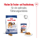 Royal Canin Haustierfutterverpackung mit Trocken- und Nassfutteroptionen für erwachsene Hunde, die die Verdauungsgesundheit und ein optimales Fütterungserlebnis betont.