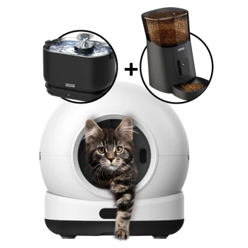 Kätzchen späht aus weißem kugelförmigem automatischem Katzenklo, daneben schwarzer ZEDAR-Trinkbrunnen und ZEDAR-Automatfutterspender.