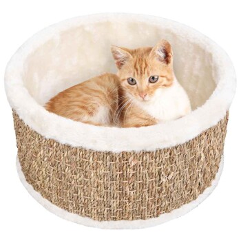 Katzenkorb