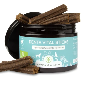Denta Vital Sticks für Hunde in einem schwarzen Glas mit Sticks daneben, mit "Ergänzungsfuttermittel für Hunde" und "wolfsbacher natur."