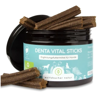 Denta Vital Sticks für Hunde in einem schwarzen Glas mit Sticks daneben, mit "Ergänzungsfuttermittel für Hunde" und "wolfsbacher natur."
