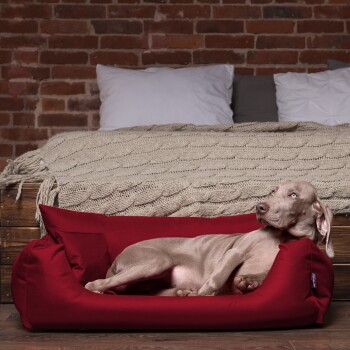 Ein entspannter grauer Hund, der in einem roten Haustierbett liegt, mit einer gemütlichen gestrickten Decke und Kissen im Hintergrund vor einer Ziegelwand.