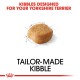 Kibble designed specifically for Yorkshire Terriers, featuring a single piece of kibble with the text "Tailor-Made Kibble" below.