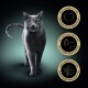 Eine graue Katze auf einem dunklen Hintergrund mit drei goldenen Siegeln: "100% vollständige Ernährung", "natürliche Zutaten" und "keine künstlichen Farben."