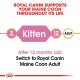 Royal Canin graphic promoting nutrition for Maine Coon cats, indicating feeding stages from 2 months (Kitten) to 12 months (Adult).