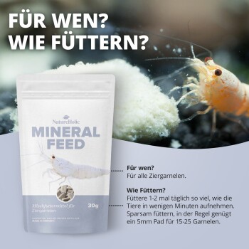NatureHolic MINERAL FEED-Packung und Garnele, die auf einem weißen Futterpad frisst; sichtbarer deutscher Text ‚FÜR WEN? WIE FÜTTERN?‘