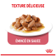 Nourriture pour chat en sauce, avec des morceaux tendres sur une assiette blanche, avec le texte "TEXTURE DÉLICIEUSE" et "ÉMINCÉ EN SAUCE" au-dessus.