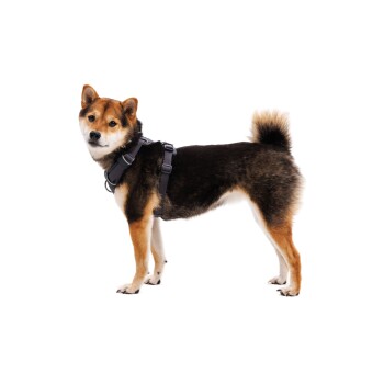 Ruffwear Front Range Geschirr grau XS FRESSNAPF