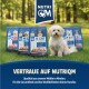 Hund sitzt auf Gras neben Nutri QM M!EAT Hundefuttertüten mit dem Text "Vertraue auf Nutri QM" und Produktdetails.