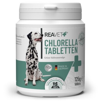 Behälter mit REAVET+ Chlorella-Tabletten für Haustiere, mit einem Dalmatiner und Etiketten für "Grüne Süßwasseralge" und "Hergestellt in Deutschland."