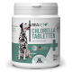 Behälter mit REAVET+ Chlorella-Tabletten für Haustiere, mit einem Dalmatiner und Etiketten für "Grüne Süßwasseralge" und "Hergestellt in Deutschland."