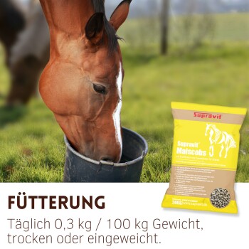 Pferd frisst aus einem Eimer auf einer Wiese neben einem gelben Sack Supravit Maiscobs Pferdefutter.