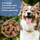 Ein Hund mit einem braunen Halsband frisst aus einer Edelstahlschüssel mit Hühnergeschmack-Kibble. Text: "Knusprige Hühnerbasierte Kroketten."