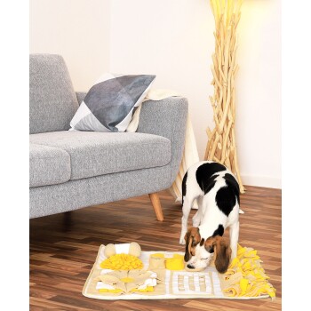 Beagle-Hund schnüffelt an einer gelb-beigen interaktiven Schnüffelmatte auf einem Holzboden neben einem grauen Sofa und einer Holzlampe.