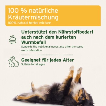 100% natürliche Kräutermischung / 100% natural — unterstützt die Ernährung nach abgeheiltem Wurmbefall; dreifarbiger Hund auf dem Rücken.