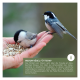 Eine Hand hält Vogelfutter, auf der zwei kleine Vögel sitzen. Der Text im Bild behandelt die Bedeutung der Vogelfütterung, insbesondere in städtischen Gebieten.