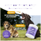 Bild von zwei Hunden in einem Park, mit einem Produktglas, das "HUNDPUR" zur Beruhigung von Haustieren kennzeichnet. Text hebt Vorteile für aggressive und ängstliche Hunde hervor.