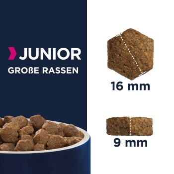 Trockenfutter Hund Large Breed Junior, Huhn 2x15 kg