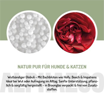 Ein verspielter Corgi liegt auf einer Couch und leckt sich die Lippen, mit dem Text "Natürliches Tierwohl" deutlich darunter.