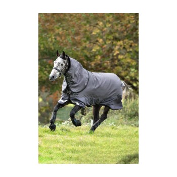 Ein graues Pferd mit einer passenden Decke, das durch ein grasbewachsenes Feld läuft, umgeben von Bäumen mit herbstlichem Laub.