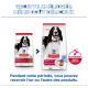 Deux sacs Hill's Science Plan Adult 1–6 avec chien noir et blanc ; titre français 'RECETTE AMÉLIORÉE, MÊME GOÛT DÉLICIEUX' et logo ActivBiome+.