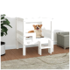 Ein glücklicher Corgi sitzt auf einem weißen Holz-Haustierbett mit einer kleinen Stufe, umgeben von einer Pflanze und einem Aufbewahrungskorb auf einem Holzboden.