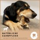 Ein Hund, der auf einem natürlichen Zahnpflege-Kauspielzeug kaut, mit dem Text 'NATÜRLICHE ZAHNPFLEGE' und einer Beschreibung darunter auf Deutsch.
