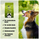 Hundefutterverpackung beschriftet mit "Essen KLEINE Insekten für aktive Haustiere" mit einem glücklichen Hund auf einer Wiese; hebt hypoallergene und tierärztlich entwickelte Vorteile hervor.