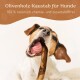 Ein glücklicher Hund, der auf einem Olivenholz-Kaustab kaut, mit dem Text "Olivenholz-Kaustab für Hunde 100 % natürlich, chemie- und zusatzstofffrei" darüber.