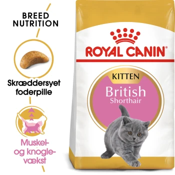 Royal Canin British Shorthair Kittenfutterbeutel mit einem grauen Kätzchen, mit Text, der die Rassenernährung und maßgeschneiderte Kroketten hervorhebt.
