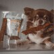 Ein kleiner brauner Chihuahua hält einen Hundekeks im Mund, mit einer Packung ähnlicher Leckerlis im Hintergrund.