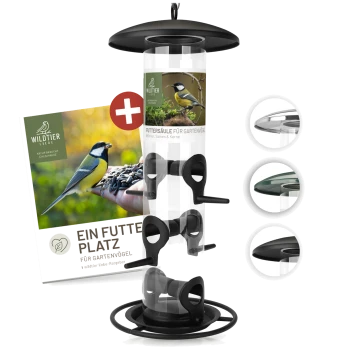 Vogelfutterspender mit transparentem Rohr und schwarzem Sockel, mit einem Etikett, das "Futtersäule für Gartenvögel" und ein Vogelbild zeigt.