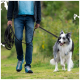 Eine Person in einem blauen Shirt und dunklem Hoodie führt einen glücklichen, flauschigen Border Collie an einer orangefarbenen Leine durch ein grünes Feld.
