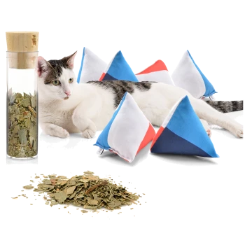Eine entspannte Katze liegt neben bunten, dreieckigen Katzenminze-Spielzeugen und einem Glasbehälter, der mit getrockneten Katzenminzblättern gefüllt ist.