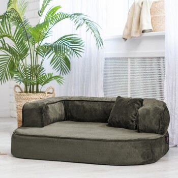 Ein plüschiges, dunkelgrünes Haustierbett mit einer unterstützenden Rückenlehne und einem kleinen Kissen, in einem hellen Raum mit einer Topfpflanze in der Nähe.