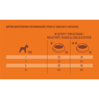 Tableau de nutrition quotidienne recommandé pour les chiens, montrant les quantités de nourriture (grammes) en fonction du poids (kg) et du niveau d'activité.