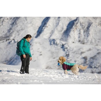 Eine Person in einer türkisfarbenen Jacke und schwarzen Hosen steht im Schnee und beobachtet einen flauschigen Hund, der einen bunten Wintermantel trägt und ein blaues Spielzeug hält.