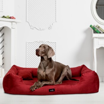 Ein grauer Weimaraner-Hund, der auf einem plüschigen roten Hundebett in einem stilvollen Raum mit weißen Wänden und einem dekorativen Kamin ruht.