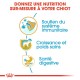 Image promouvant une nutrition sur mesure pour chiots avec des icônes pour le soutien immunitaire, la croissance saine et la santé digestive.